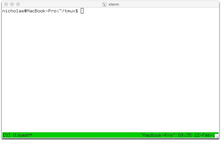 tmux 在 xterm 中的样子